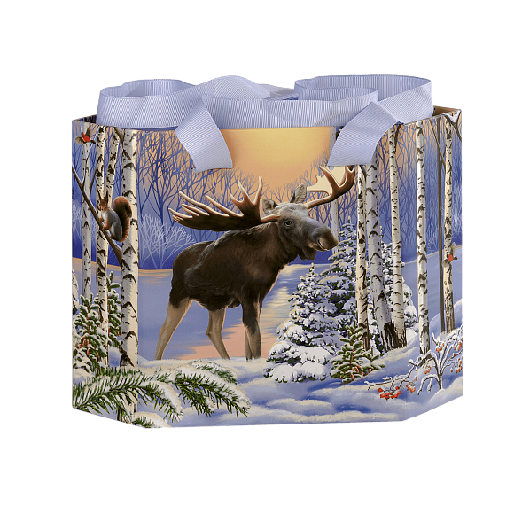 Сладкий новогодний подарок Зимняя палитра 2024